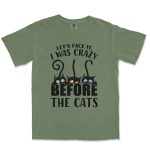 Let's Face It I Was Crazy Before The Cats Unisex Comfort Colors® 1717 Heavyweight T-Shirt - Image 6