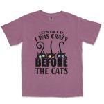 Let's Face It I Was Crazy Before The Cats Unisex Comfort Colors® 1717 Heavyweight T-Shirt - Image 8