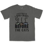 Let's Face It I Was Crazy Before The Cats Unisex Comfort Colors® 1717 Heavyweight T-Shirt - Image 4